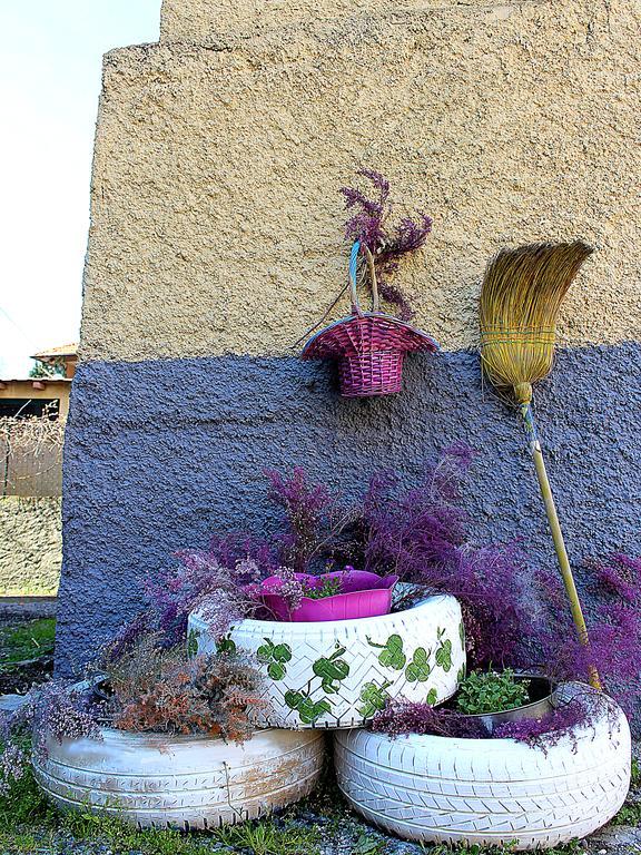 La Mia Casa Di Campagna Hotel Rovieto Buitenkant foto